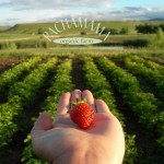 Food Integrity Now –  E03 – Ewell Culbertson of Pachamama Organic Farm
