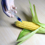 New GMO Labeling Rules are a Disaster for US Food Transparency