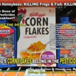 Diana Reeves, Founder of GMO Free USA–Taking Back Control Over Our Food
