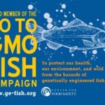 GE Salmon: Is The World Ready for Frankenfish?