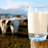 Does Milk Do The Body Good? Mark McAfee Tells the Raw Story!