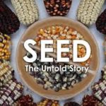 Seed:The Untold Story