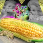 William Engdahl on GMOs: The Lies and Long History of the Poisoning of Humanity