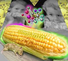 William Engdahl on GMOs: The Lies and Long History of the Poisoning of Humanity