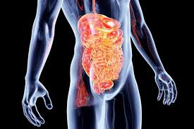Leaky Gut: Is it Becoming an Epidemic?