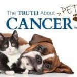 Your Pet May Be At Risk for Pet Cancer