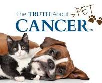 Your Pet May Be At Risk for Pet Cancer