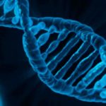 Gene Editing – Really Scary Technology?