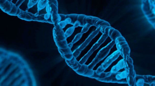 Gene Editing – Really Scary Technology?