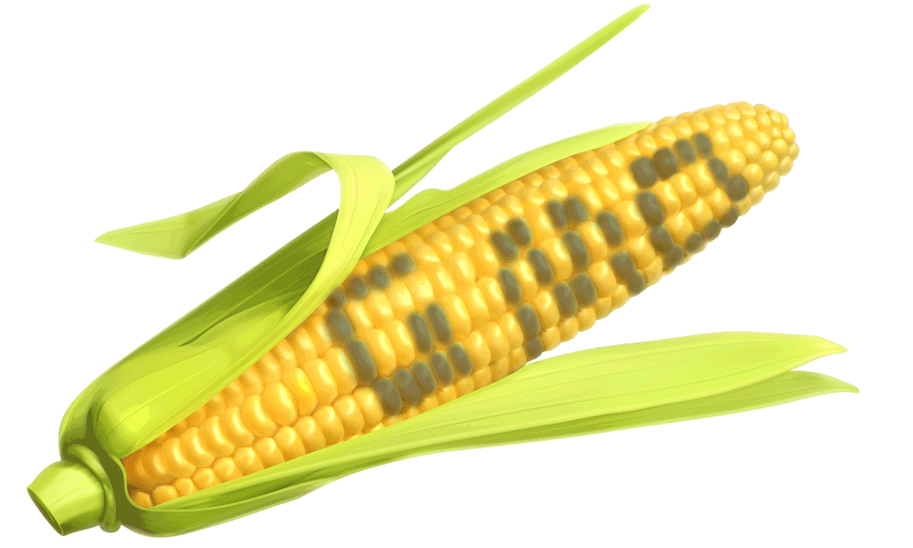 Regulating GMOs Fails Again