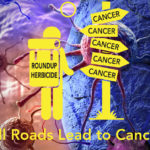 GMOs & Glyphosate: All Roads Lead to Cancer