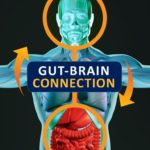 Is Your Gut/Brain Ready for Fall?