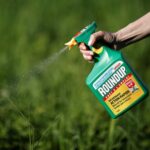 Glyphosate and Cancer: More Evidence