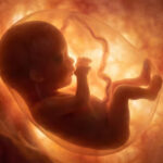 Glyphosate Found Trapped in Womb Tissue — And It’s Highest in the Most Aggressive Cancers